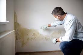 Environmental Consulting for Mold Prevention in Silver Lake, OH